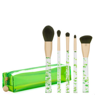 The 420 Brush Collection